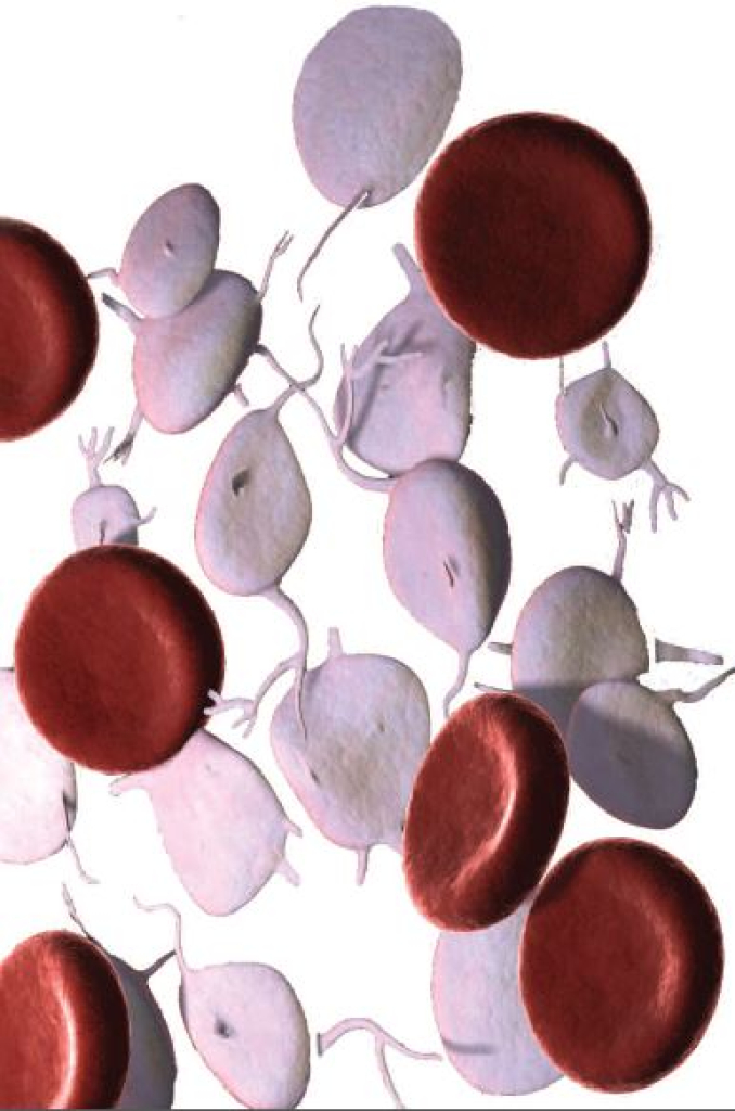 prp
