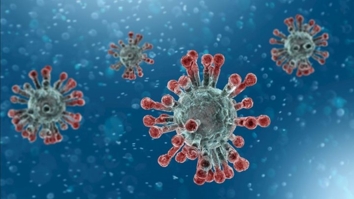 Coronavirus (COVID-19)